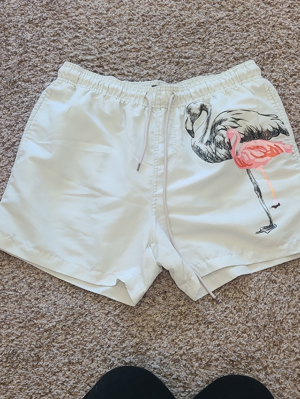 Philcos Light Green Swim Shorts with Flamingo Graphic